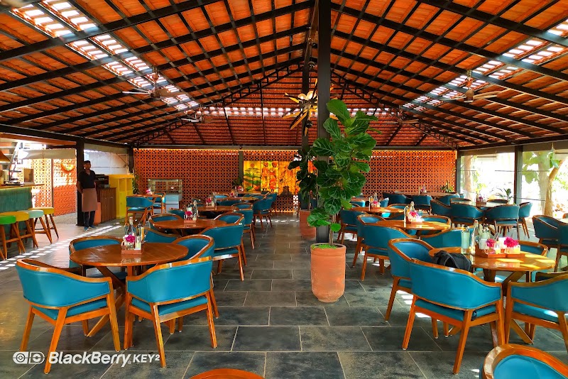 The Curio Table - The Curio Table CURIOUSCITY Science Center, Curiouscity Gully, Kachamaranahalli, Thigala Chowdadenahalli, Bengaluru, Karnataka 562125, India