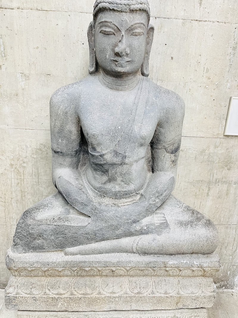 Government Museum and Art Gallery - Government Museum and Art Gallery Sector, 10C, Sector 10, Chandigarh, 160011, India