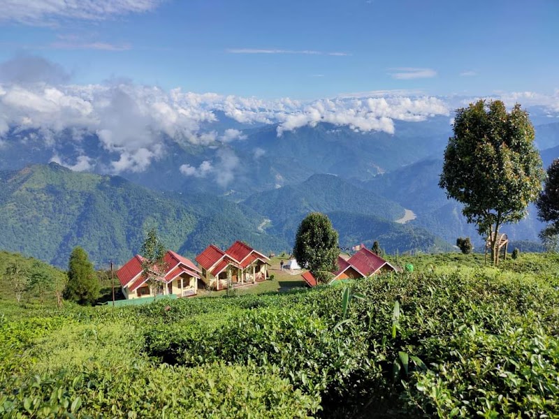 Darjeeling