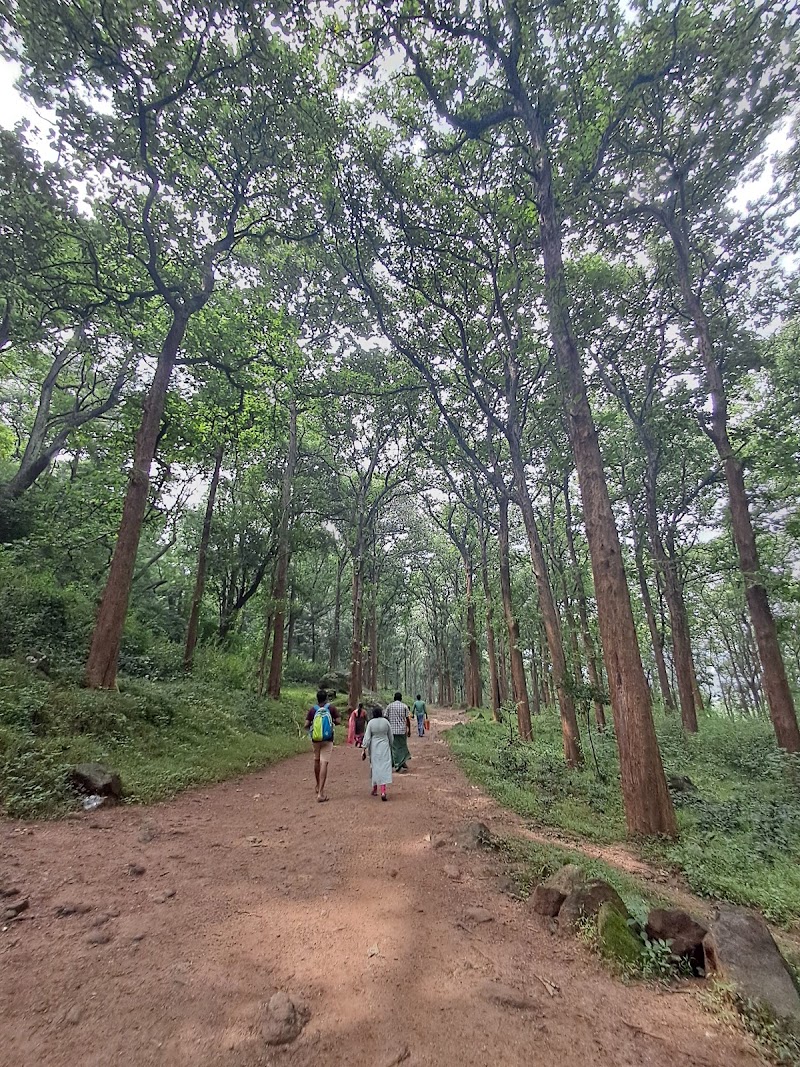 Siruvani Waterfalls - Siruvani Waterfalls, Noyyal River, WMQP+4RC, Booluvampatti, Tamil Nadu 641114, India
