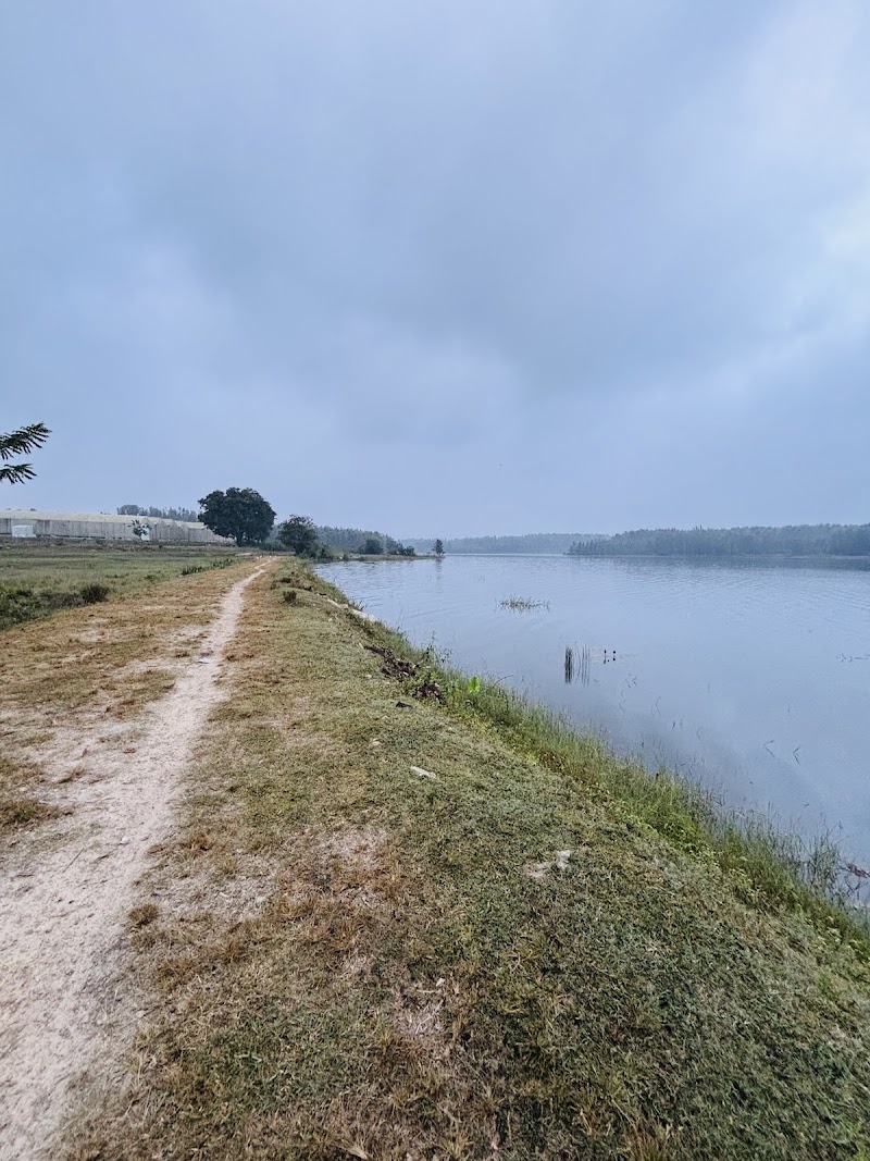 River view point sakleshpur