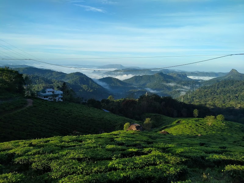 Tea Castle - Tea Castle PO, Chithirapuram, Munnar, Kerala 685565, India
