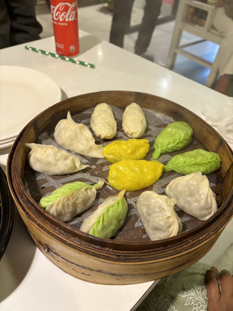 Shuffle Momos (Delivery Only) - Shuffle Momos (Delivery Only) Metropoint, Tadong, Gangtok, Sikkim 737102, India