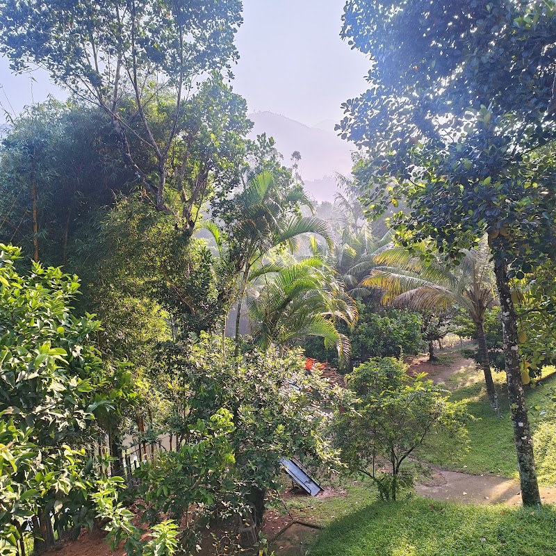 Avondale Luxury Cottage - Avondale Luxury Cottage Pallivasal, Chithirapuram Powerhouse Road, Munnar, Kunchithanny, Kerala 685565, India
