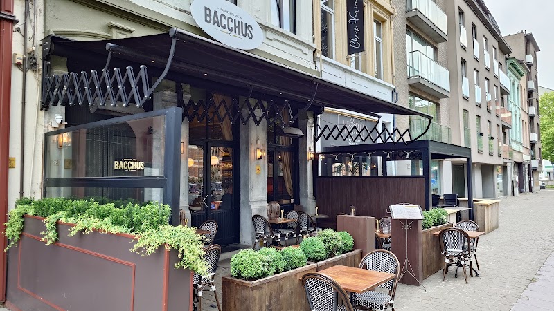 Bacchus - Bacchus Napelsstraat 128, 2000 Antwerpen, Belgium