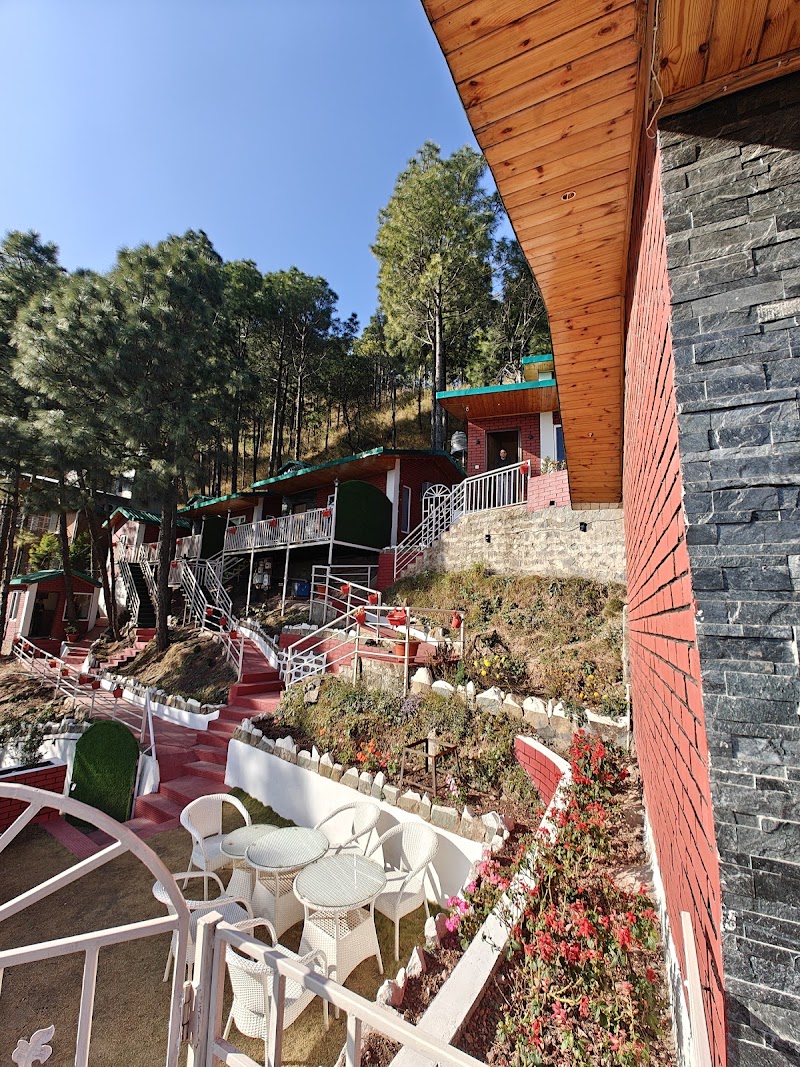 Kasauli Pine Hills - Kasauli Pine Hills Dharampur - Kasauli Rd, Kanda, Kasauli, Himachal Pradesh 173209, India