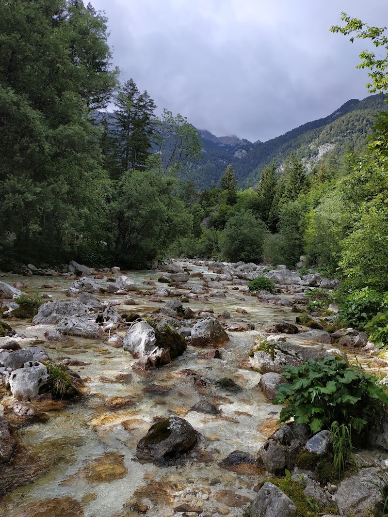 Soča - Soča Soča