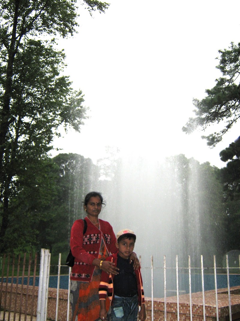Lumparing Greenery Children Park - Lumparing Greenery Children Park HV5J+XJ9, Lumparing, Shillong, Meghalaya 793004, India