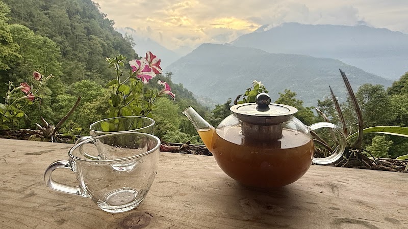 Mountain Lotus Cafe & Restaurant - Mountain Lotus Cafe & Restaurant Skywalk Road, Upper, Pelling, Sikkim 737113, India