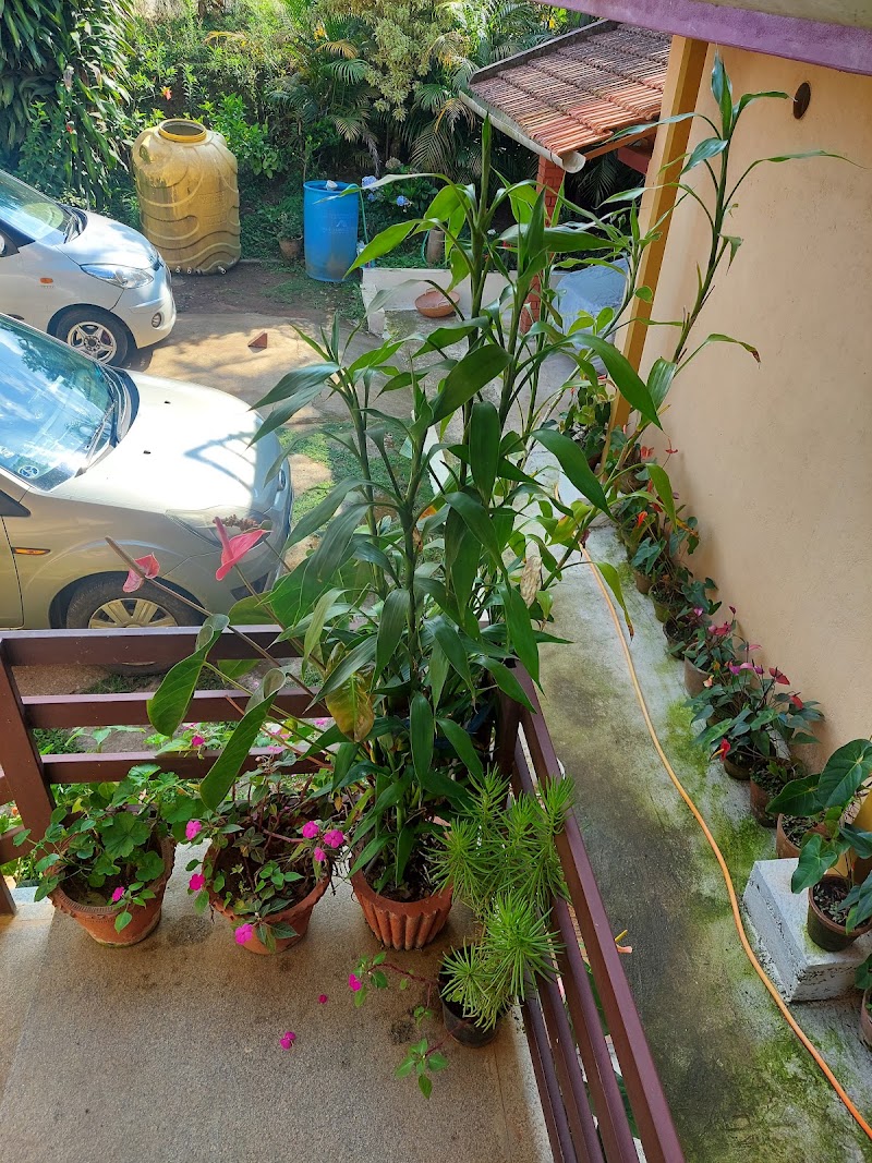 CAUVERY HOME STAY - CAUVERY HOME STAY Unnamed Road, Kalakandur, Karnataka 571236, India