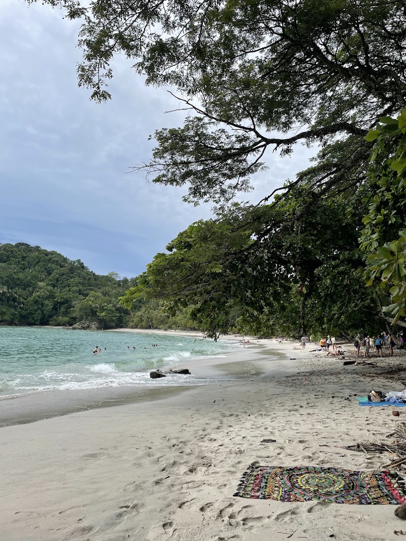 Manuel Antonio Nature Tours - Manuel Antonio Nature Tours, 50m NO de la entrada al PN Manuel Antonio, Provincia de Puntarenas, Manuel Antonio, 60601, Costa Rica