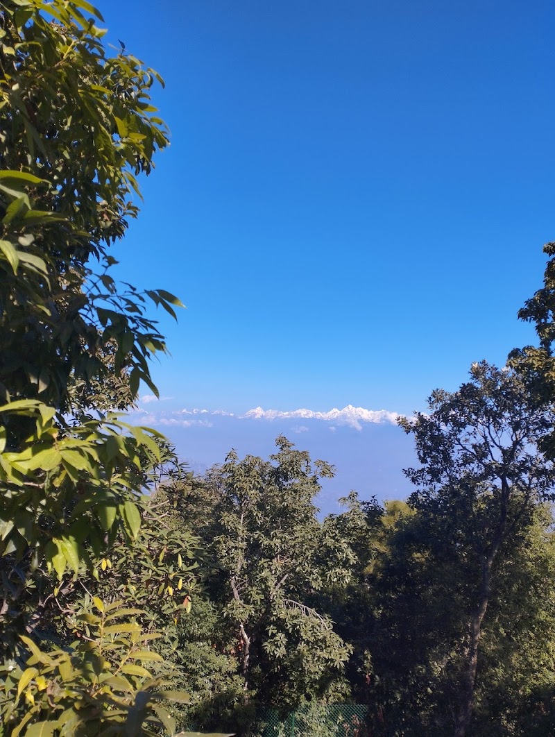 Peace forest - Lord Buddha's Statue - Peace forest - Lord Buddha's Statue JH68+WHH, Hajar Sidhi, धुलिखेल 45200, Nepal