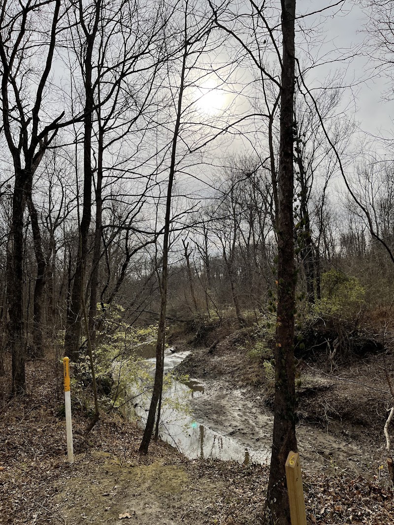 Green Earth Chautauqua Bottoms (David Kenney Trailhead) - Green Earth Chautauqua Bottoms (David Kenney Trailhead), 2127 W Meadow Ln, Carbondale, IL 62901, USA