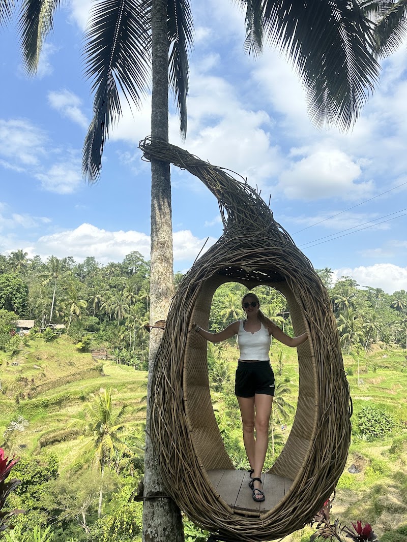Ubud best driver - Ubud best driver, Jasan, Sebatu, Kec. Tegallalang, Kabupaten Gianyar, Bali 80561, Indonesia