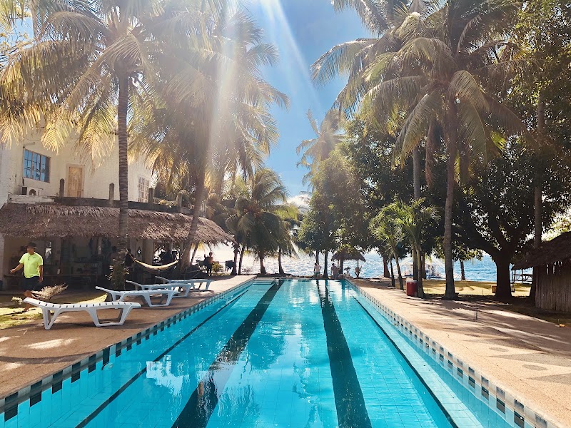 ALDIVE Resort - Aldive resort Masaplod sur, dumaguete, Dauin, 6217 Negros Oriental, Philippines