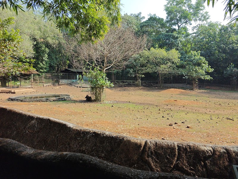 Kodanad Elephant Training Centre Deer Park, Kochi - Kodanad Elephant Training Centre Deer Park, Kochi 5GVH+3P, Kodanad, Kerala 683544, India