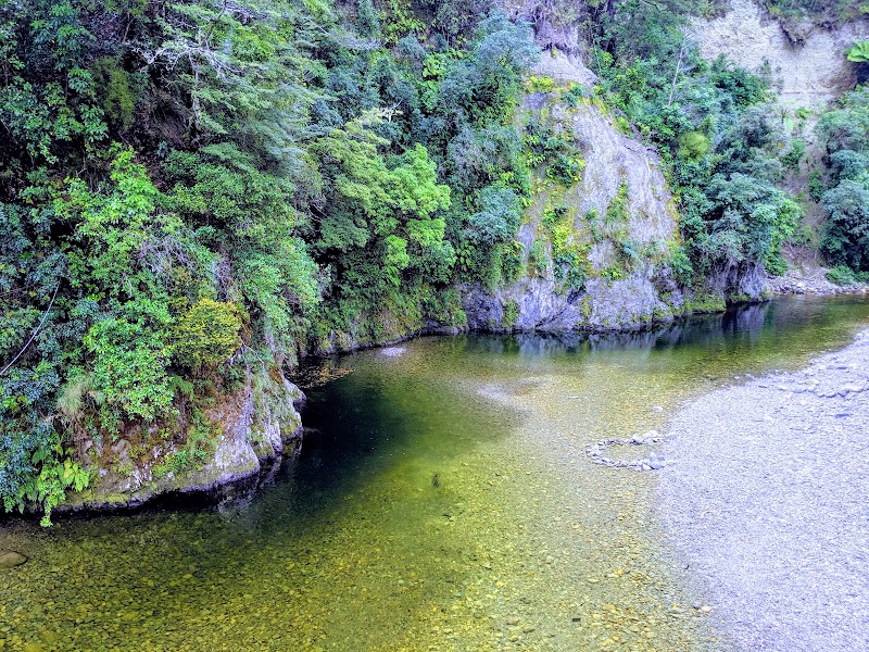 Rivendell - Rivendell, Kaitoke, Upper Hutt 5372, New Zealand