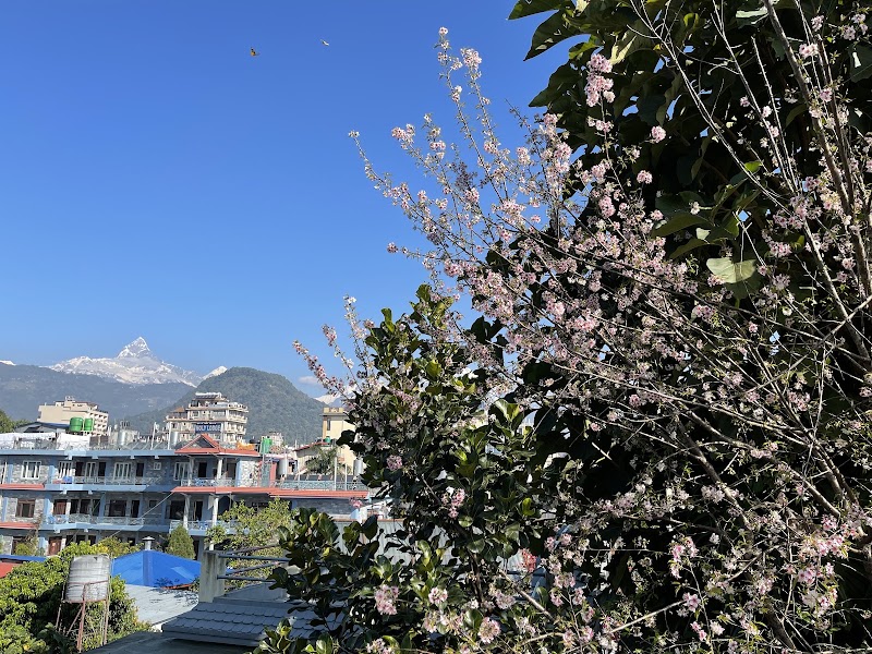Gaurishankar Backpacker’s hostel - Gaurishankar Backpacker’s hostel Durbar Marg, Pokhara 33700, Nepal