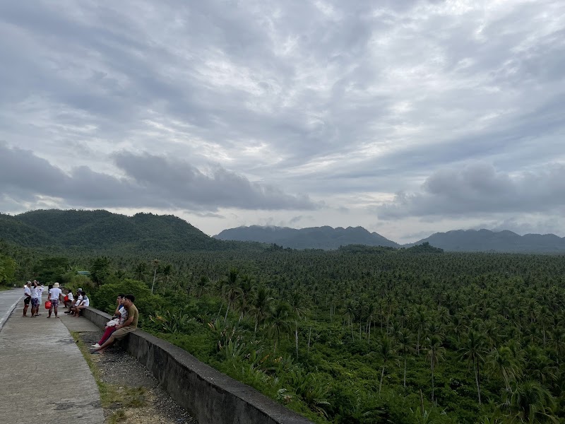 Coconut Plantation View Point - Coconut Plantation View Point, R365+WRH, Siargao Circumferential Rd, Pilar, Surigao del Norte, Philippines