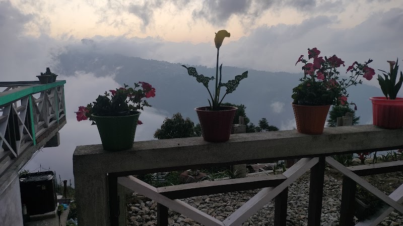 Dumi khim (homestay) - Dumi khim (homestay) Bhutia Busty, Dawaipani, Lebong and Mineral Spring Tea Garden, West Bengal 734105, India