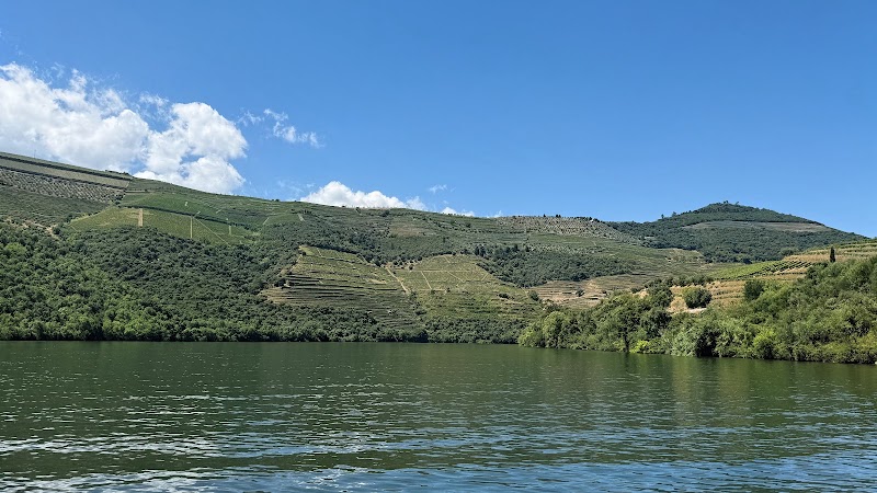 Douro Valley Wine Tours | Transfers - Douro Valley Wine Tours | Transfers, Rua de Vilar, 4050-626 Porto, Portugal