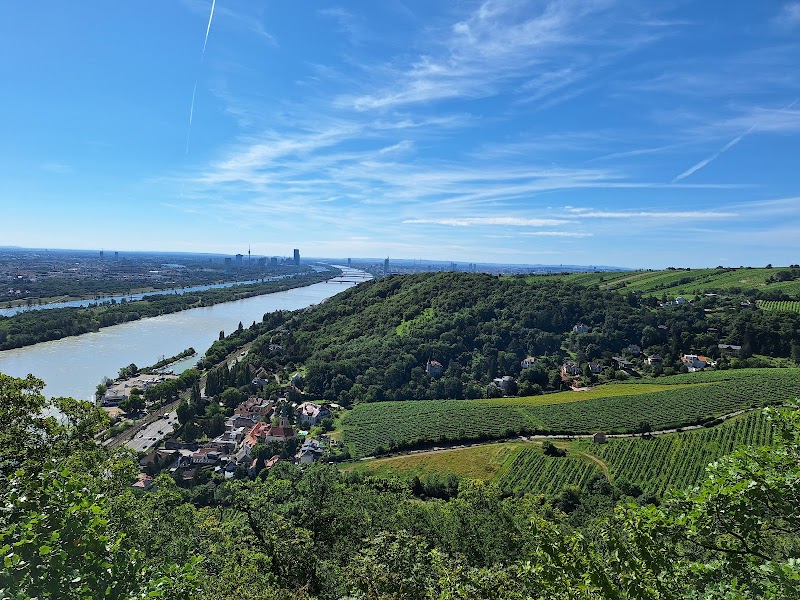 Nussdorfer Weinberge - Nussdorfer Weinberge, 1190 Vienna, Austria