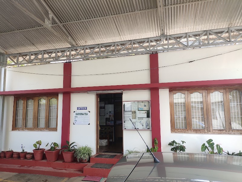 Darmona Tea Factory - Darmona Tea Factory, Waterfalls Road, Kotagiri, Tamil Nadu 643201, India