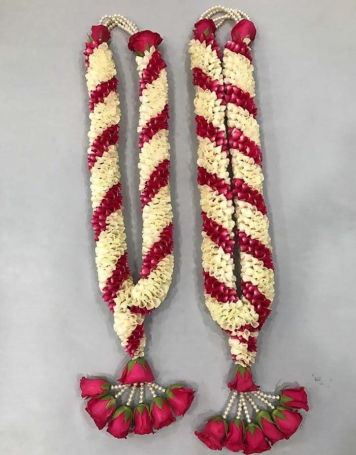 Kusum Flora - Kusum Flora, B-29, Netaji Subhash Complex, Jarhabhata, Masanganj, Chhattisgarh 495001, India