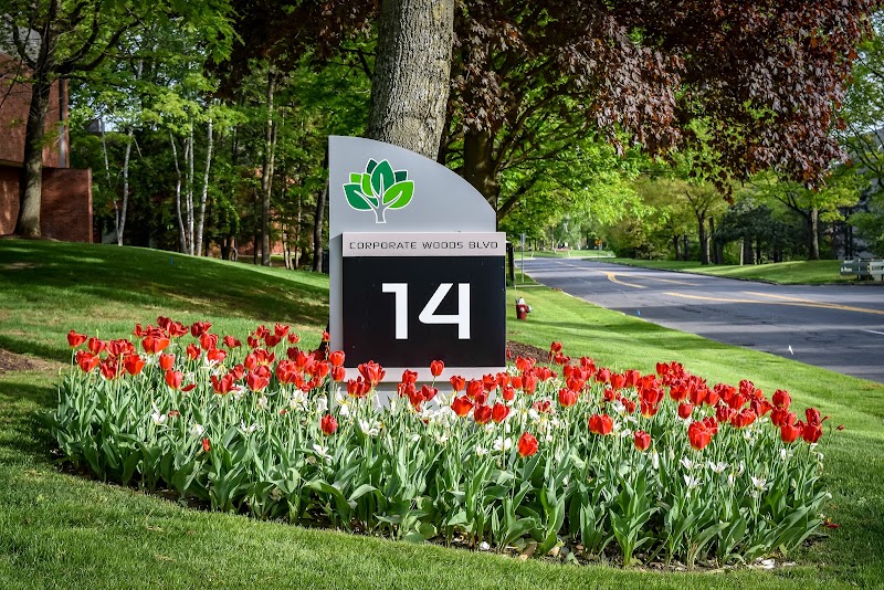 NAI Platform - NAI Platform, 14 Corporate Woods Blvd #100, Albany, NY 12211, USA