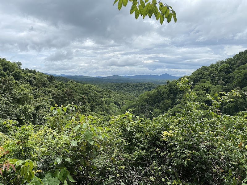 Netravali Wildlife Sanctuary Goa - Netravali Wildlife Sanctuary Goa 36MJ+FR7, Unnamed Road, Neturlim, Goa 403704, India