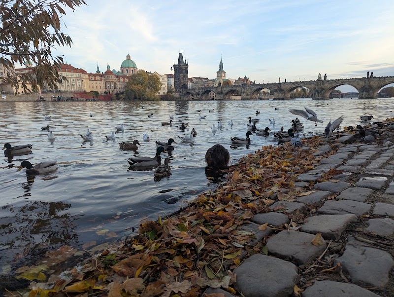Park Cihelná - Park Cihelná Cihelná 118 00, Malá Strana, 118 00 Praha-Praha 1, Czechia