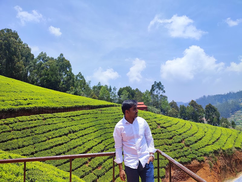 Ooty mountain view - Ooty mountain view 9PPM+QWJ, Coonoor Rd, Pudu Line, Ketti, Tamil Nadu 643215, India
