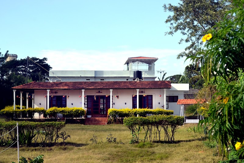Safari Land Resort