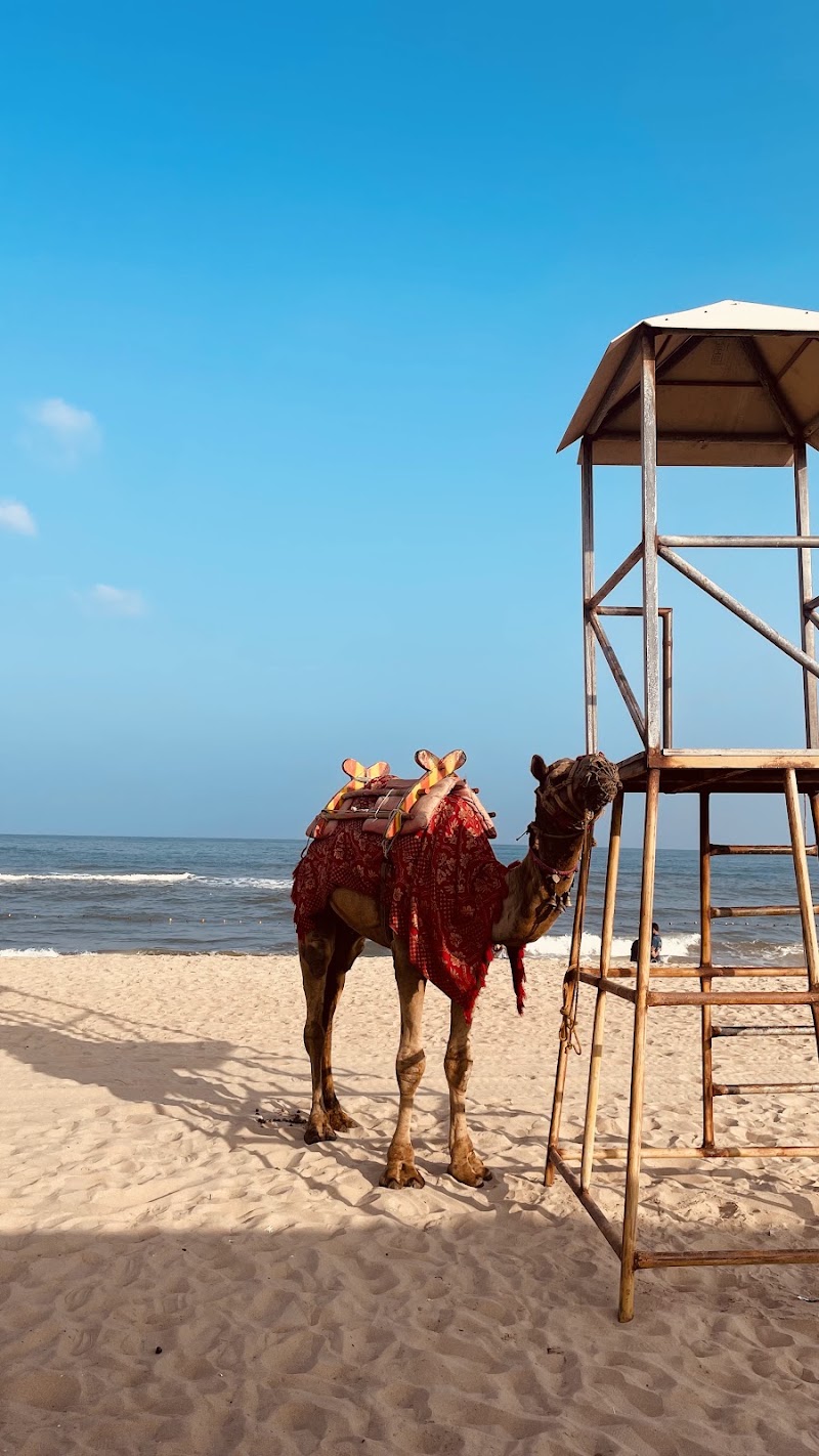 Sandunes Paradise Beach - Tourist Spot - Sandunes Paradise Beach - Tourist Spot Sandunes Paradish Beach, Lake View Rd, Pudukuppam, Puducherry 605007, India
