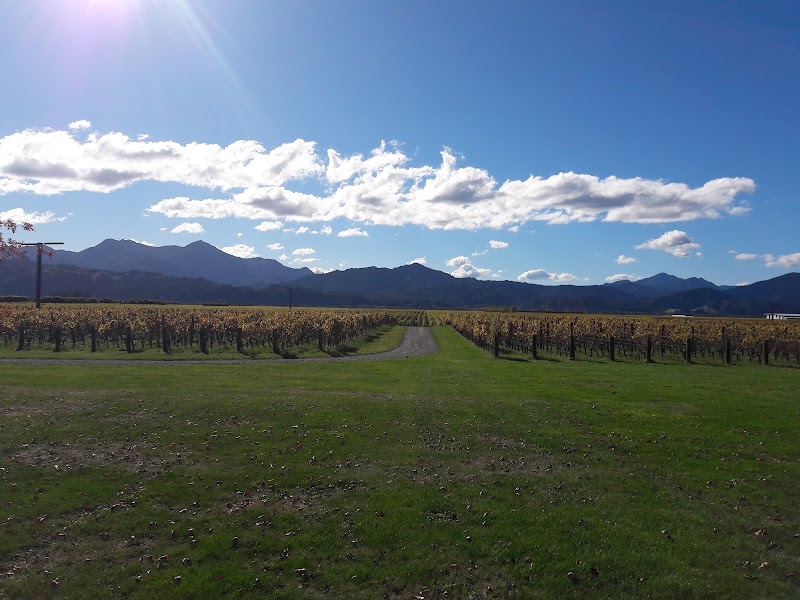 Discovery Wine Tours - Marlborough, Blenheim, Havelock, Picton, Renwick - Discovery Wine Tours - Marlborough, Blenheim, Havelock, Picton, Renwick, 8 Sinclair Street, Mayfield, Blenheim 7178, New Zealand