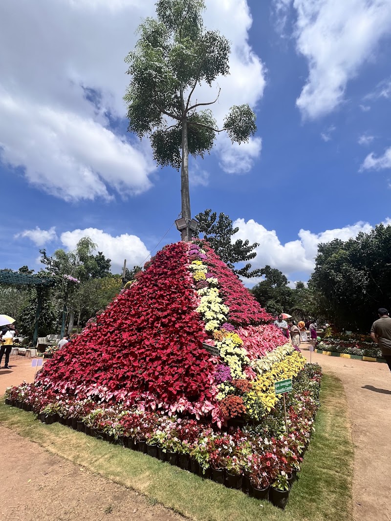 Botanical Garden Lingambudhi Lake ಸಸ್ಯಶಾಸ್ತ್ರ ವಿಶೇಷ ಉದ್ಯಾನ, ಲಿಂಗಾಂಬುಧಿ ಕೆರೆ. - Botanical Garden Lingambudhi Lake ಸಸ್ಯಶಾಸ್ತ್ರ ವಿಶೇಷ ಉದ್ಯಾನ, ಲಿಂಗಾಂಬುಧಿ ಕೆರೆ., 7JF8+7RQ, Lingambudhi Kere, Ramakrishnanagar, Dattagalli, Karnataka 570034, India