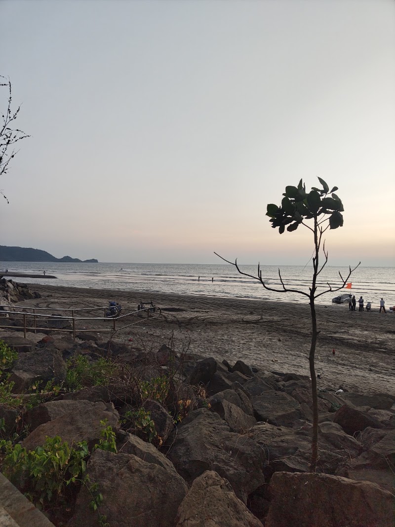 SHRIVARDHAN BEACH - SHRIVARDHAN BEACH, 22W5+XPP, Dabak Pakhadi Rd, Shrivardhan, Maharashtra 402110, India
