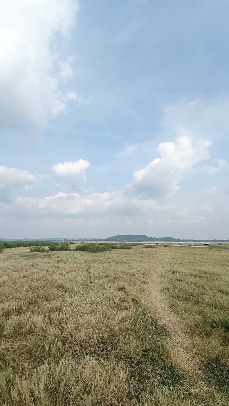 Chikhali - Chikhali, HC27+HC, Chikhli, Chhattisgarh 494337, India
