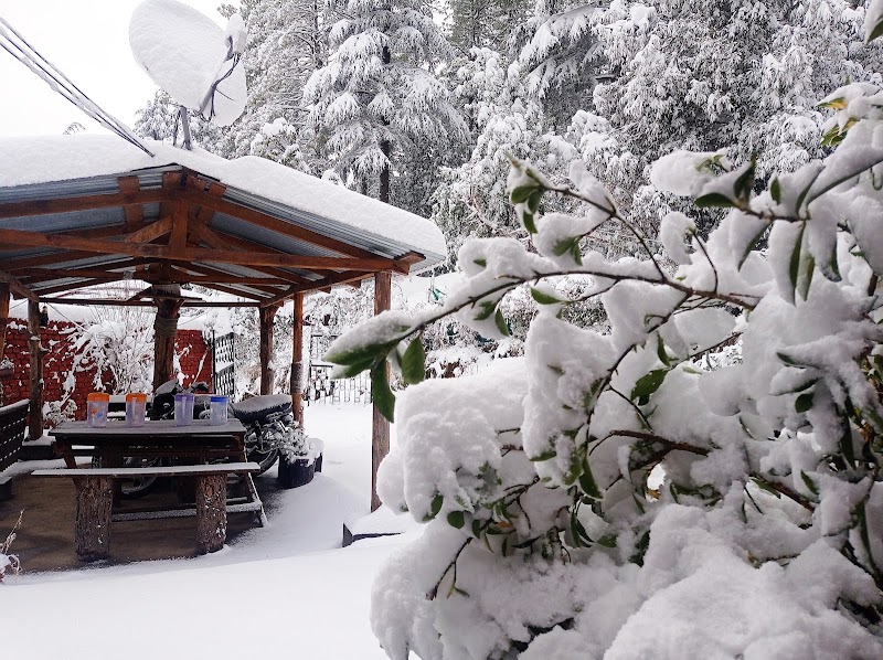 The Peace Jungle Home Stay - The Peace Jungle Home Stay, Chali Ki Jali, Mukteshwar, Uttarakhand 263138, India