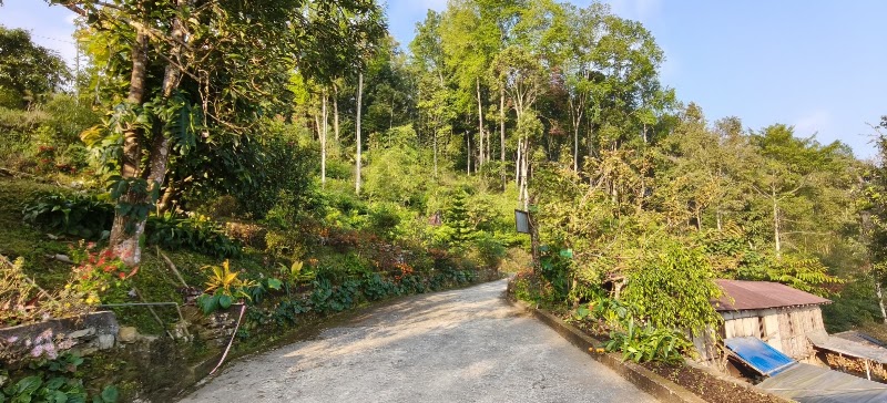 Aansham Kuitir Homestay - Aansham Kuitir Homestay Below Tea Garden, Temi, Sikkim 737134, India