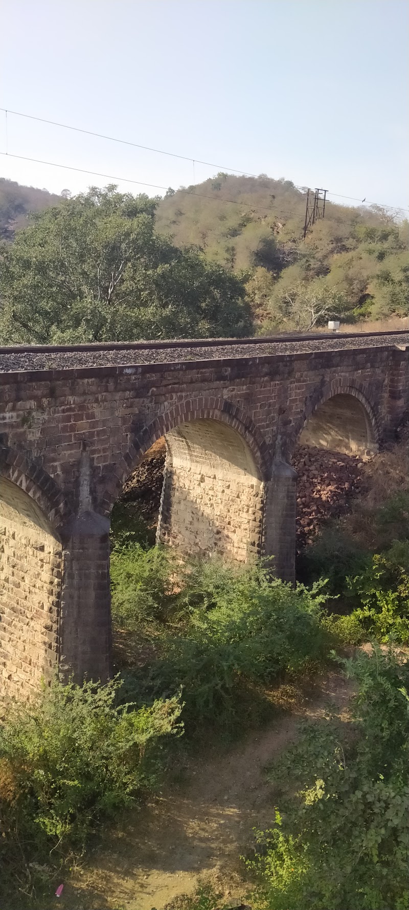 Mukundara Hills Tiger Reserve - Mukundara Hills Tiger Reserve Q2W5+HCR, Kota, Rajasthan 325602, India