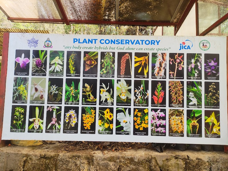 Botanical Nursery - Botanical Nursery 9J6H+767, Gangtok, Sikkim 737103, India