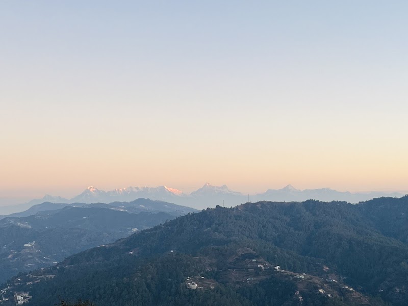 SNOVIKA "THE ORGANIC FARM" - SNOVIKA "THE ORGANIC FARM" GUNILEKH, HARINAGAR SHARNA, Bhimtal, Uttarakhand 263136, India