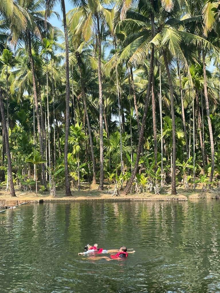 The Local Beat, Goa - The Local Beat, Goa Campal, Panaji, Goa 403001, India