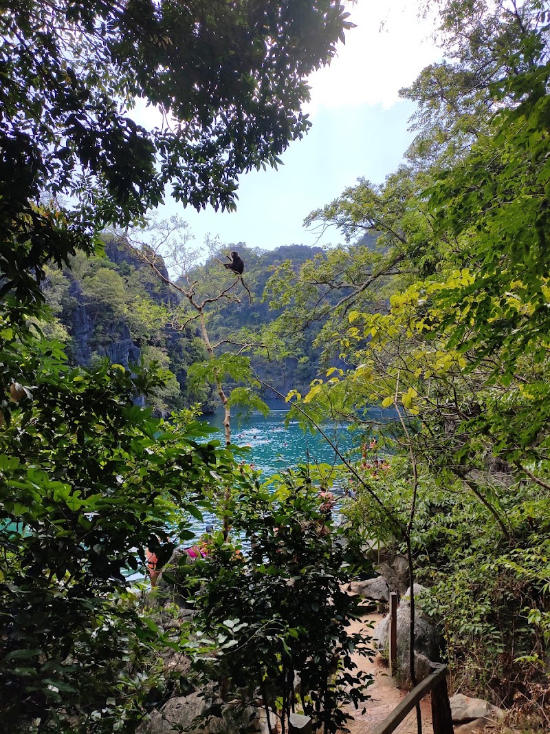 Kayangan Lake - Kayangan Lake Swimming Area, Island Hopping - Kayangan Lake, Coron, Palawan, Philippines