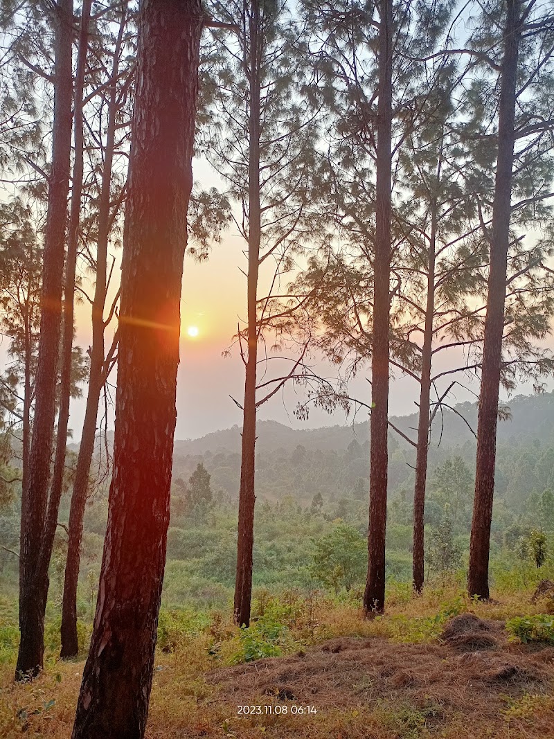 Koel View Point - Koel View Point Netarhat, Jharkhand 835218, India