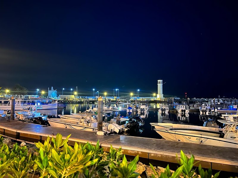 Seaview Restaurant - Seaview Restaurant Fishing Harbor - off Jumeira Street - Umm Suqeim First - Umm Suqeim 1 - Dubai - United Arab Emirates