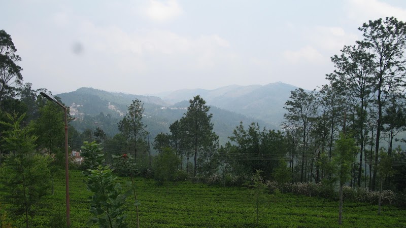 Trilan Cottages - Tea Estate - Trilan Cottages - Tea Estate, CVM6+5W, Kannerimukku Hatti, Kotagiri, Tamil Nadu 643217, India