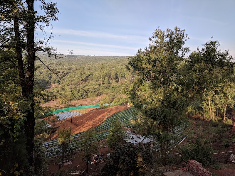 Forest Inn - Forest Inn, 21/19B, A/P Met Gutad, Main, Panchgani - Mahabaleshwar Rd, Mahabaleshwar, Metgutad, Maharashtra 412806, India