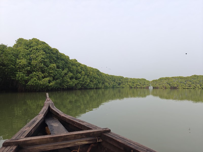 Mangrove Meadows and Adventures Paravoor Kollam - Mangrove Meadows and Adventures Paravoor Kollam RMM9+3P, Paravur, Kerala 691301, India